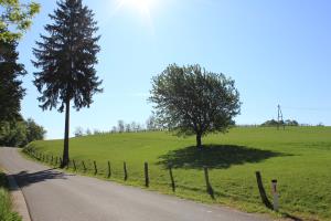 Narava v Cerkvenjaku