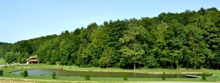 Pogled na ribnik ter ribiško kočo za piknike